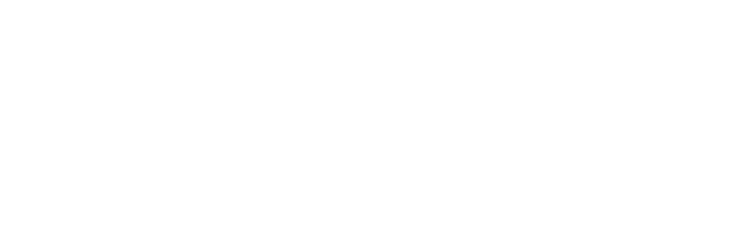 DSD Media Logo